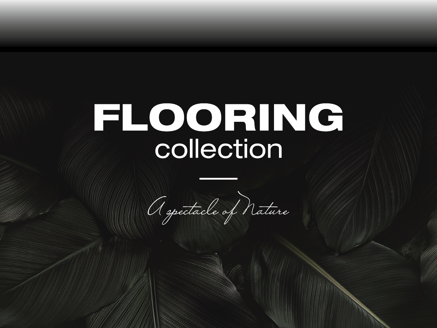 FLOORS 2025