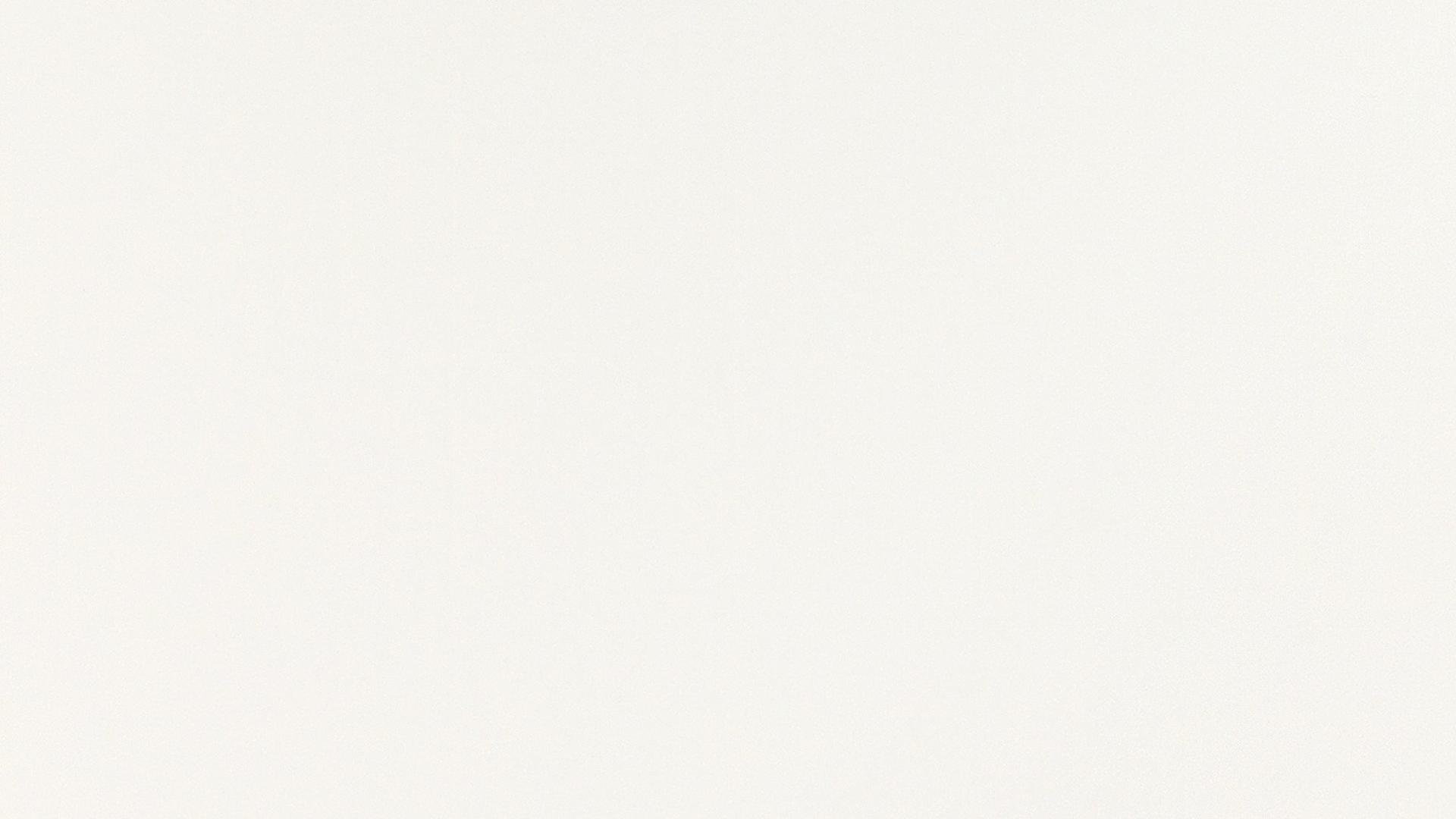 White RAL 9010