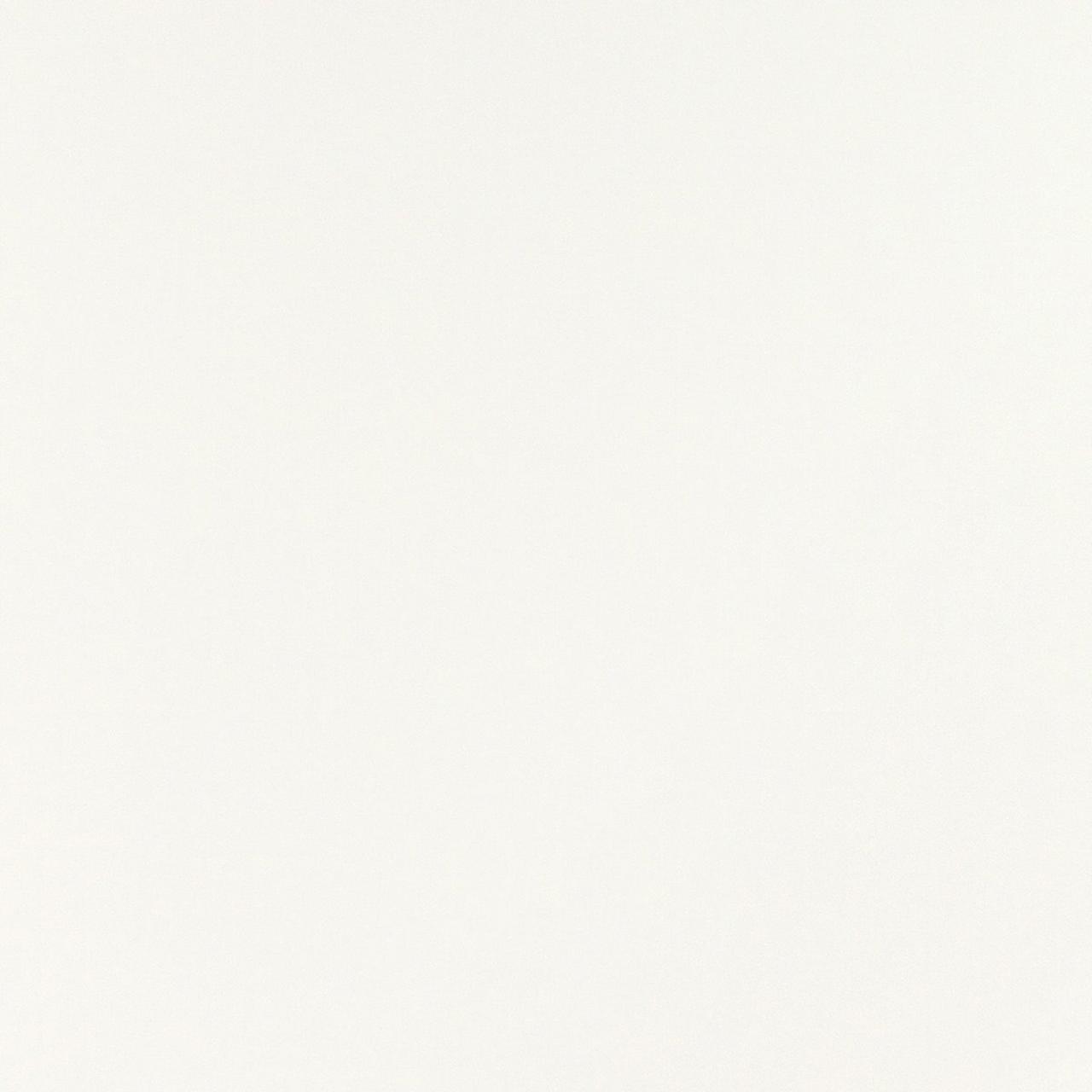 White RAL 9010