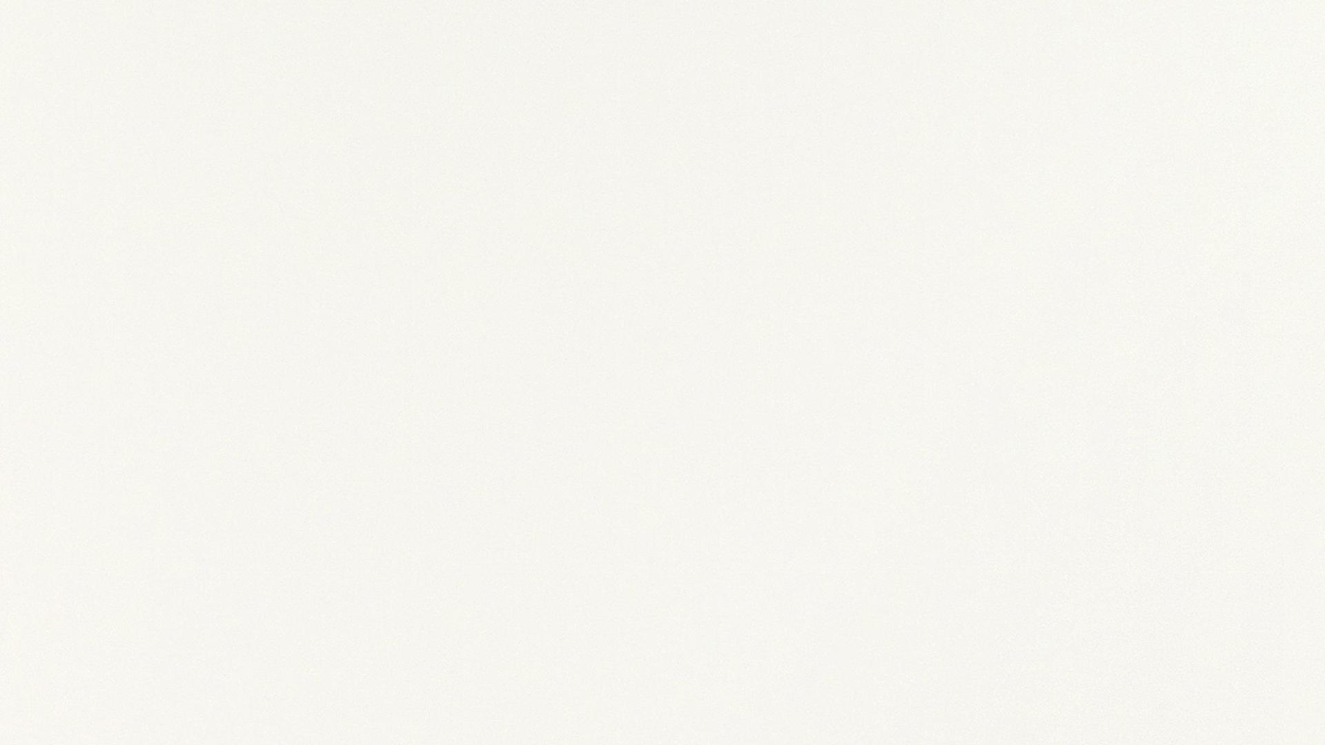 White RAL 9010
