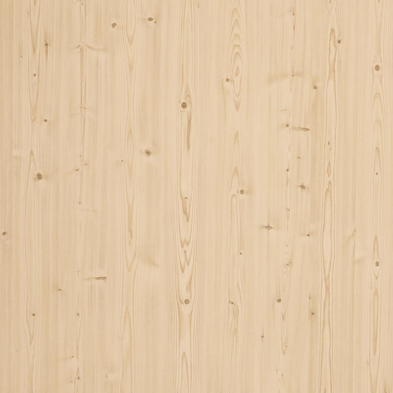 Spruce Knotty