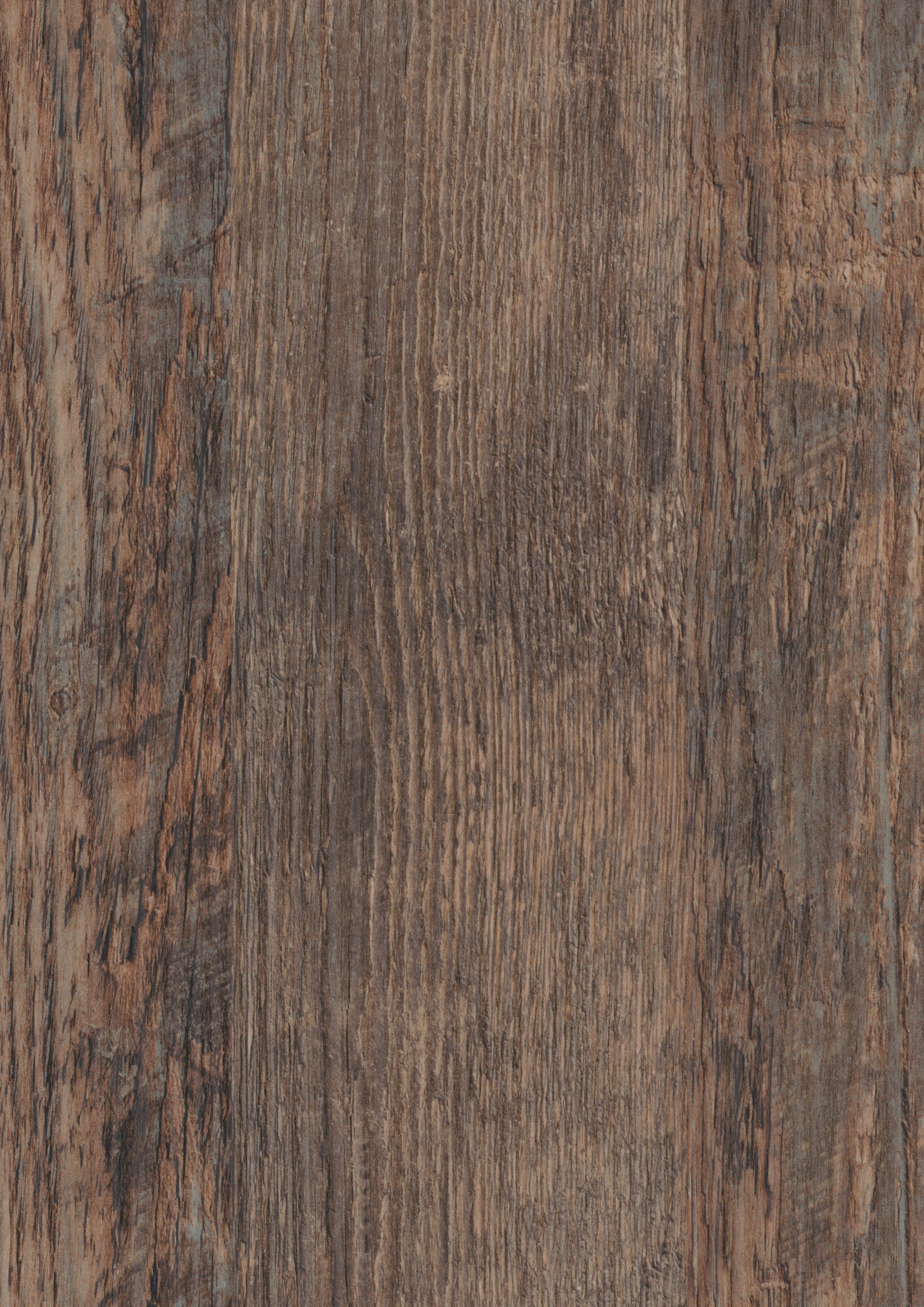 Laramie Pine