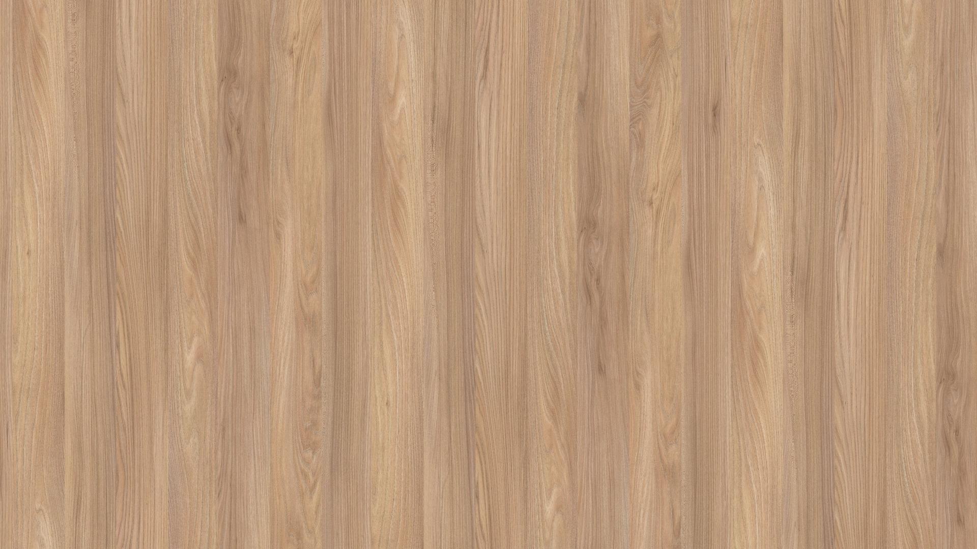 Elm