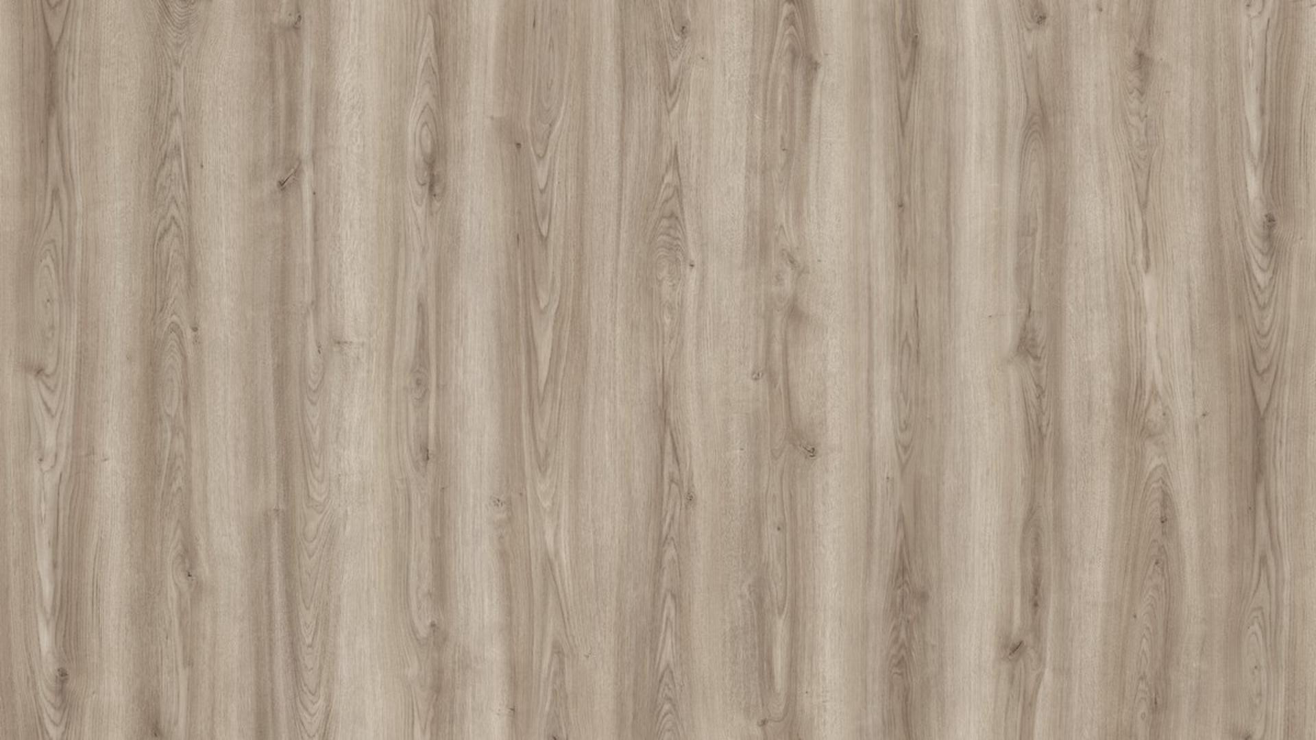 Oak Cordoba Moderno