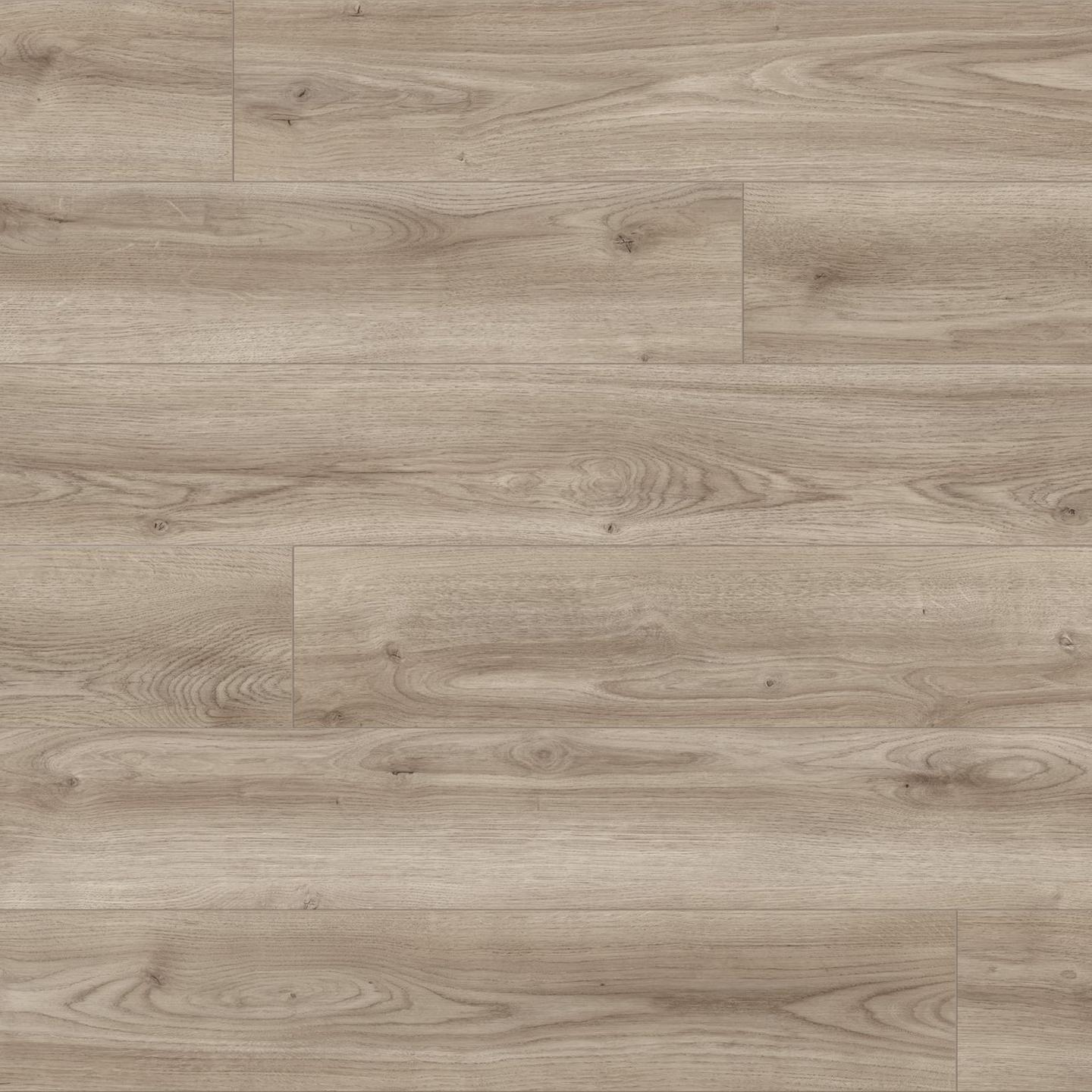 Oak Cordoba Moderno