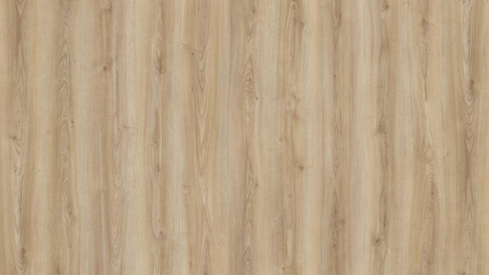 Oak Cordoba Crema