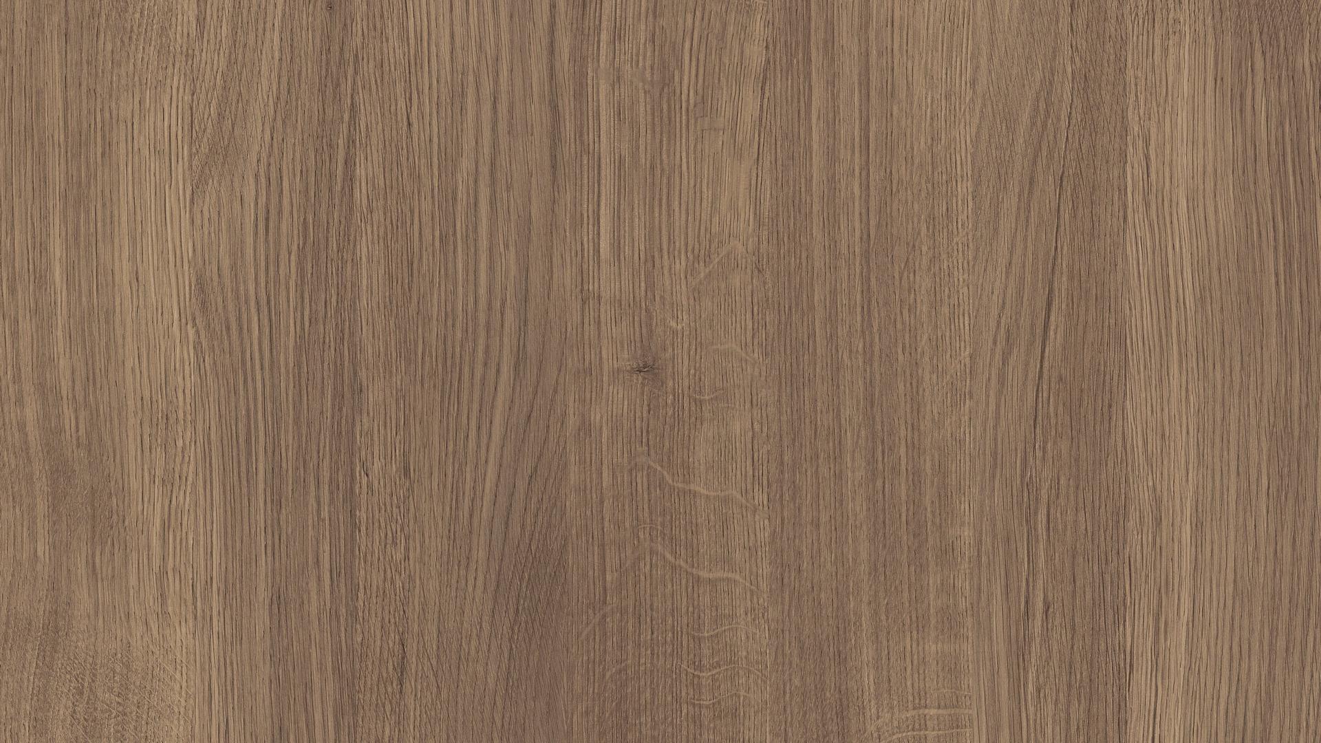 Oak Lucey Moody