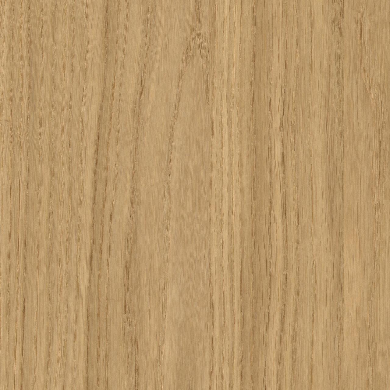 Oak Castilla Zamora