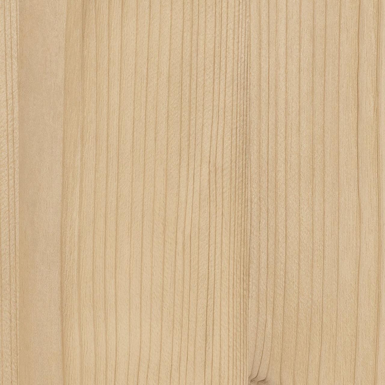 Spruce Taiga