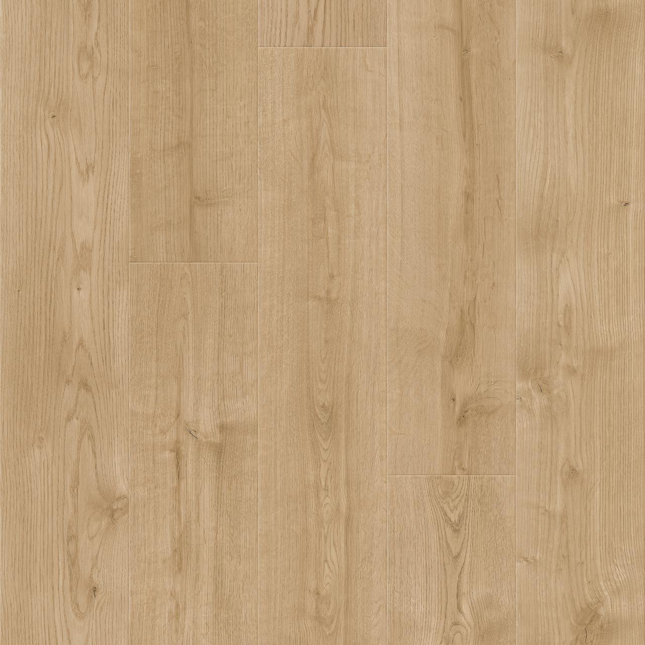 Oak Sarocco Palermo