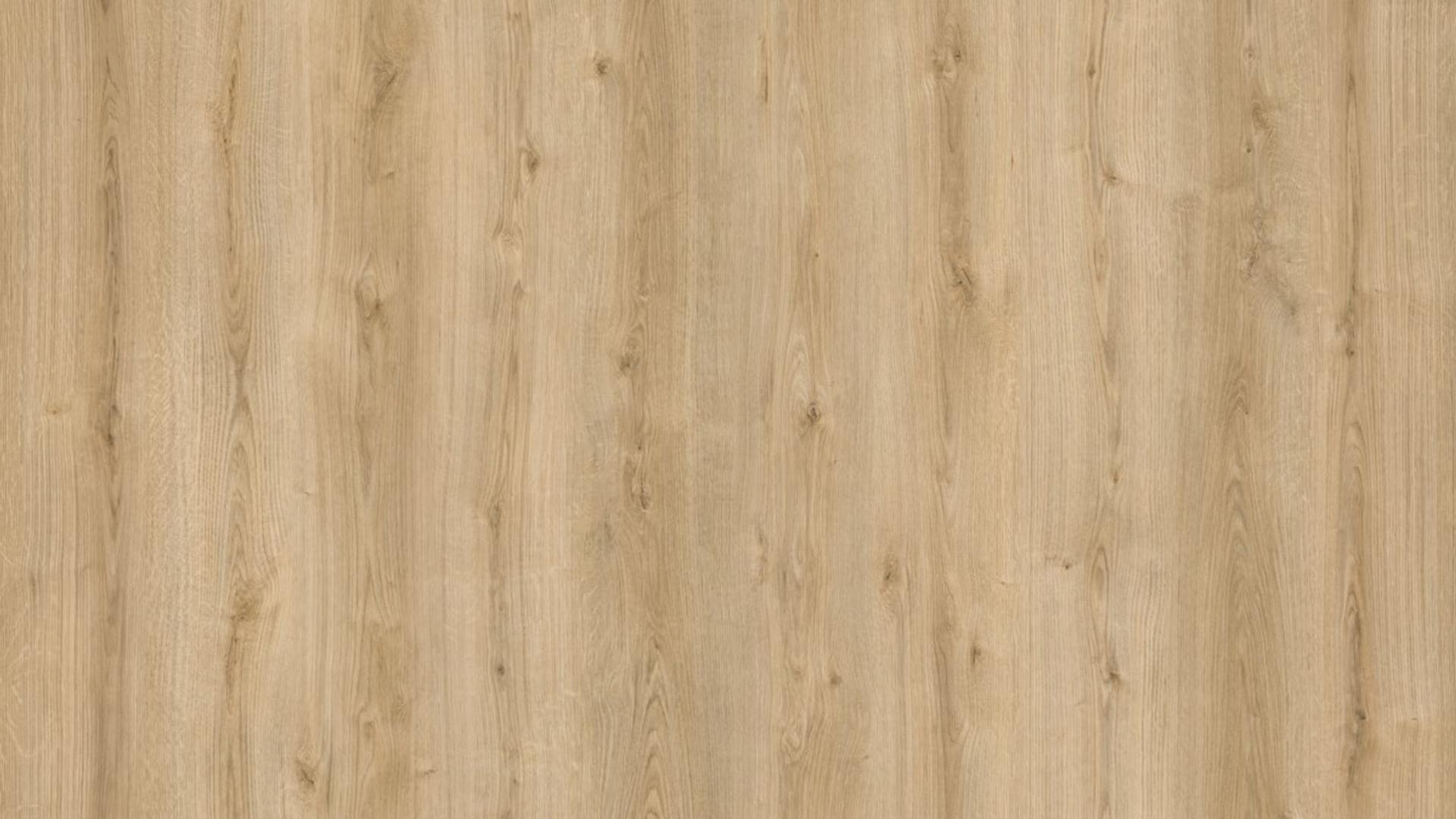 Oak Evoke Classic