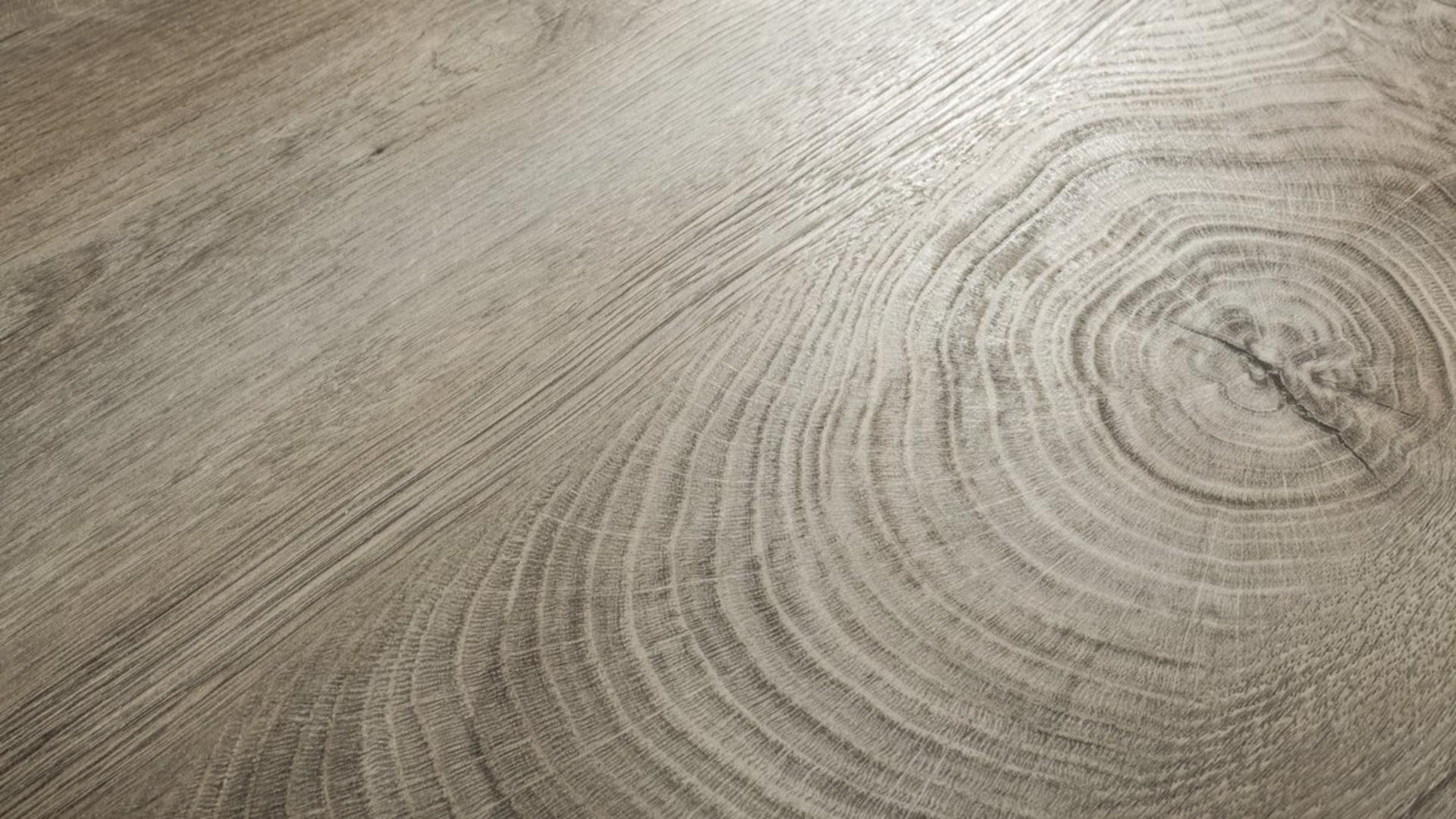 Oak ENDgrain Raw
