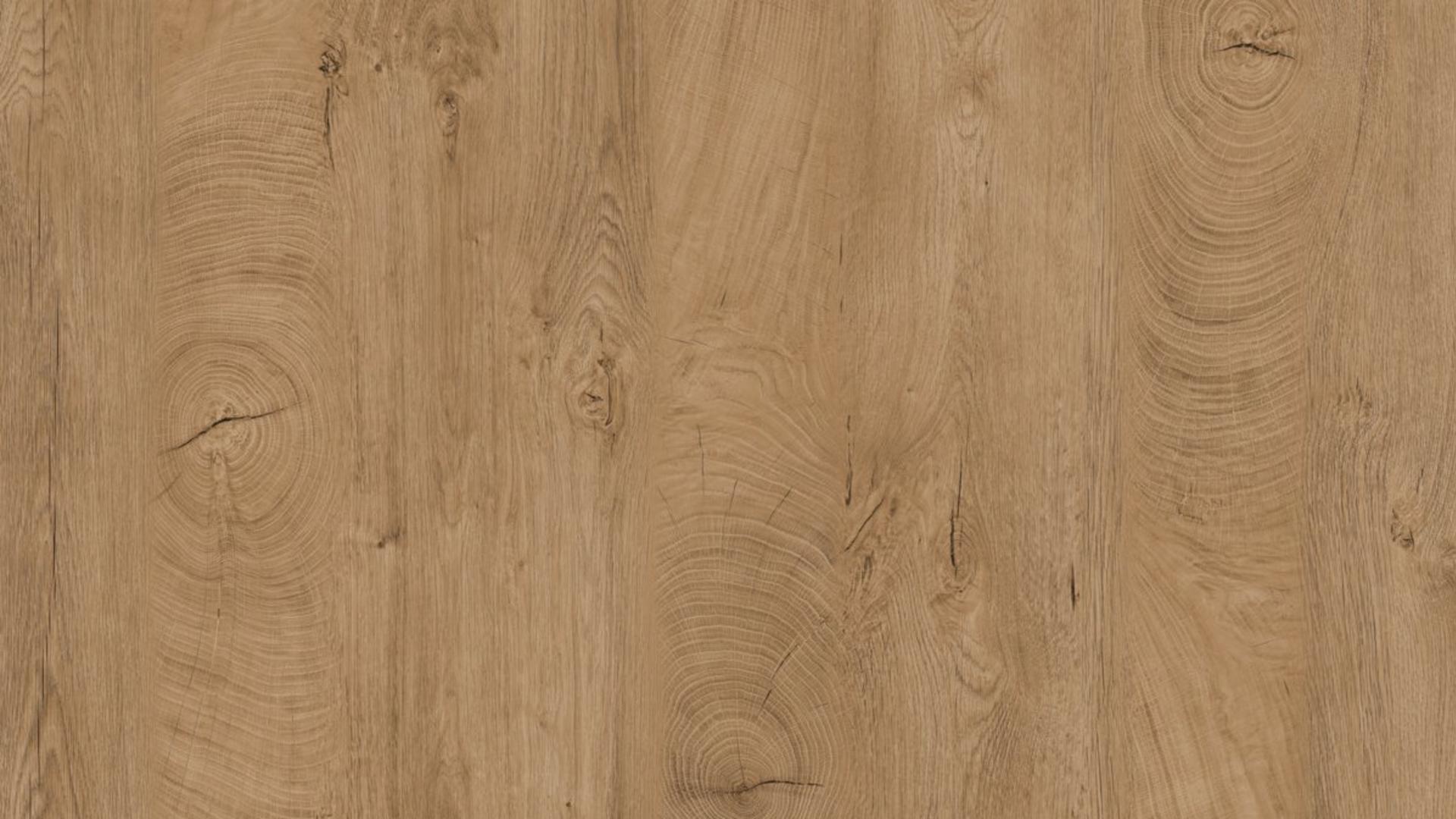 Oak ENDgrain Classic