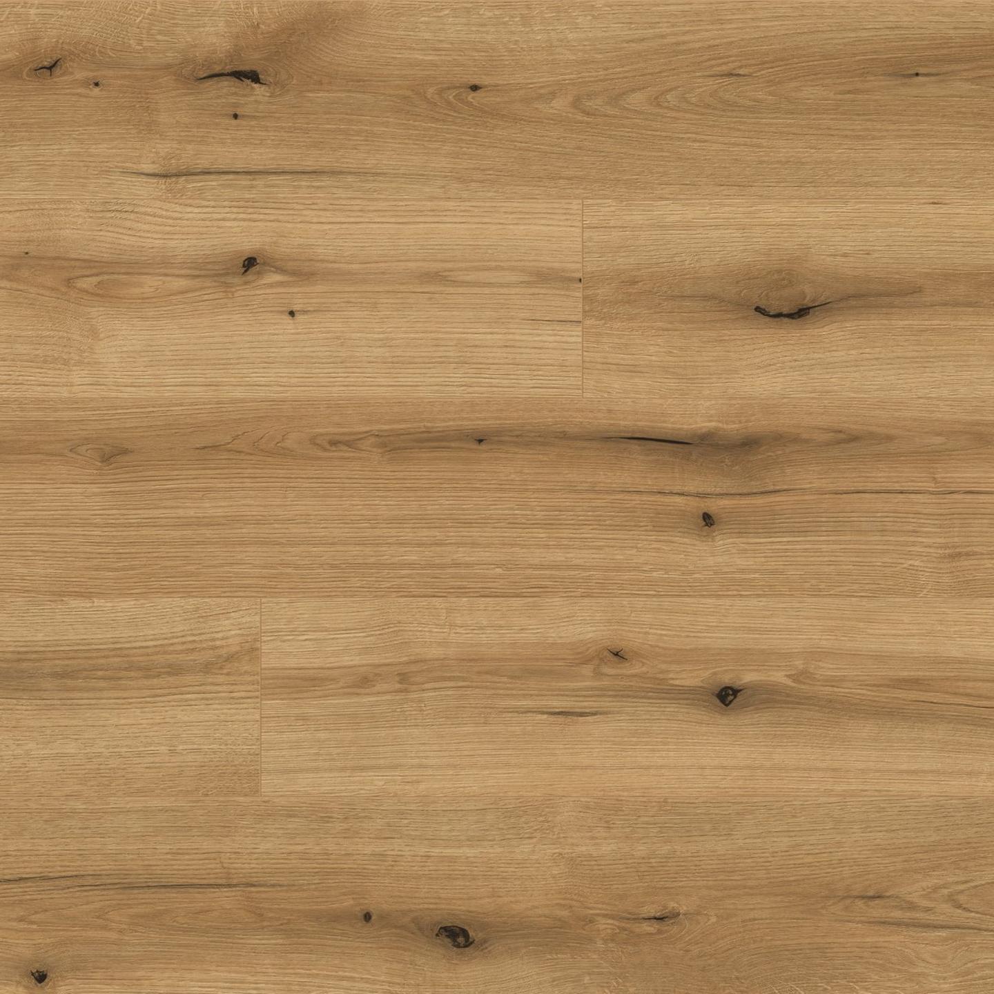 Oak Evoke Coast