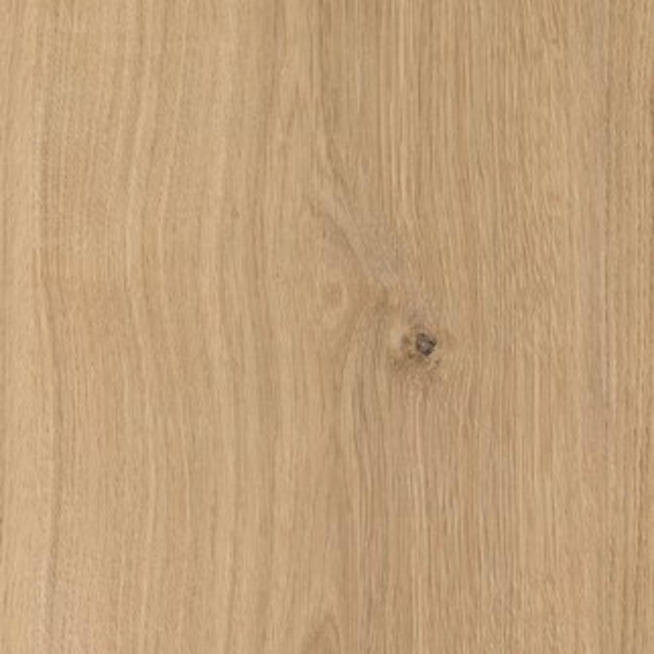 Oak Baru Valdivia