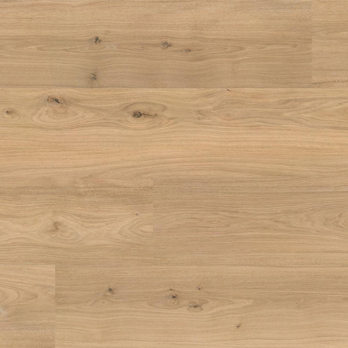 Oak Baru Valdivia