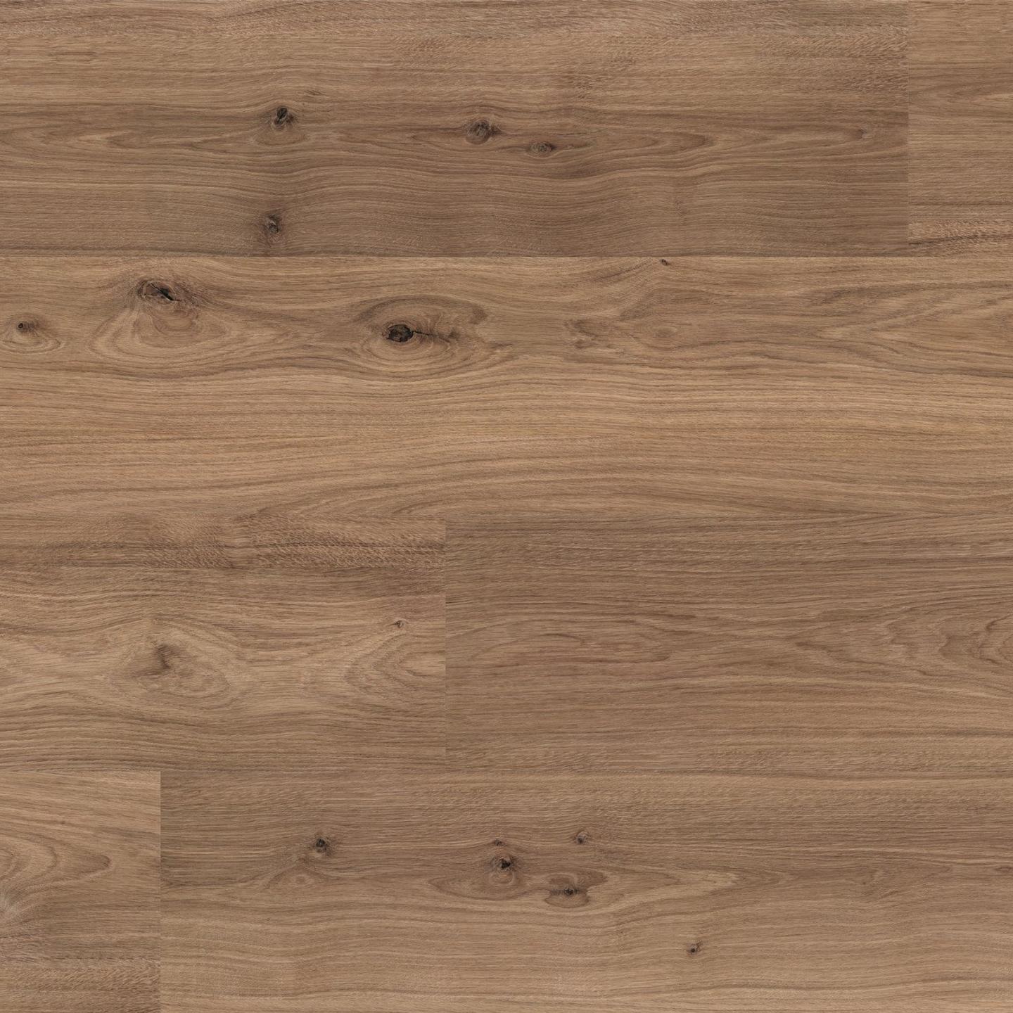 Oak Baru Novillo