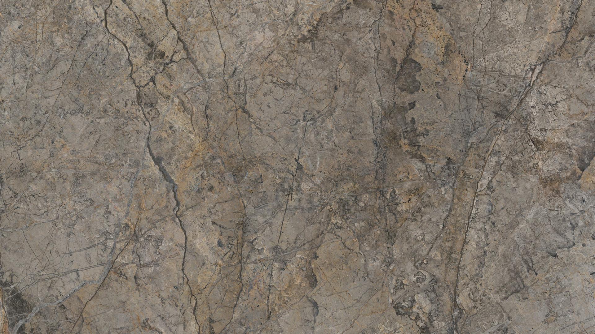 Rainforest Brown