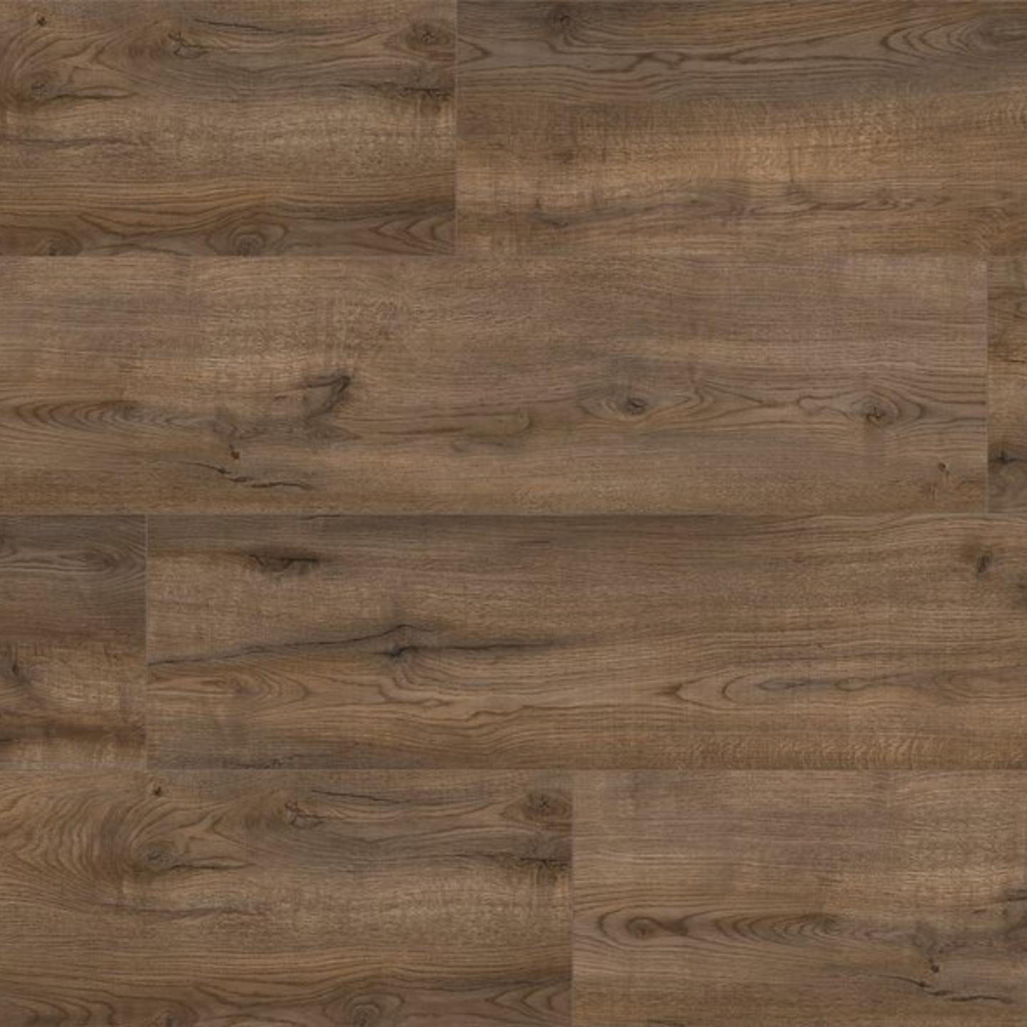 Oak Oviedo