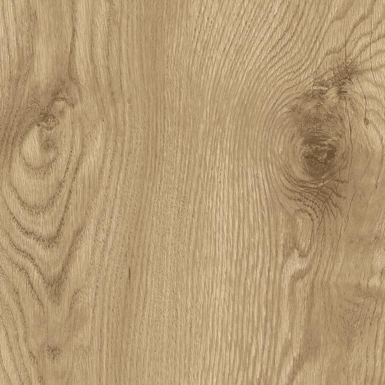 Oak Gandia