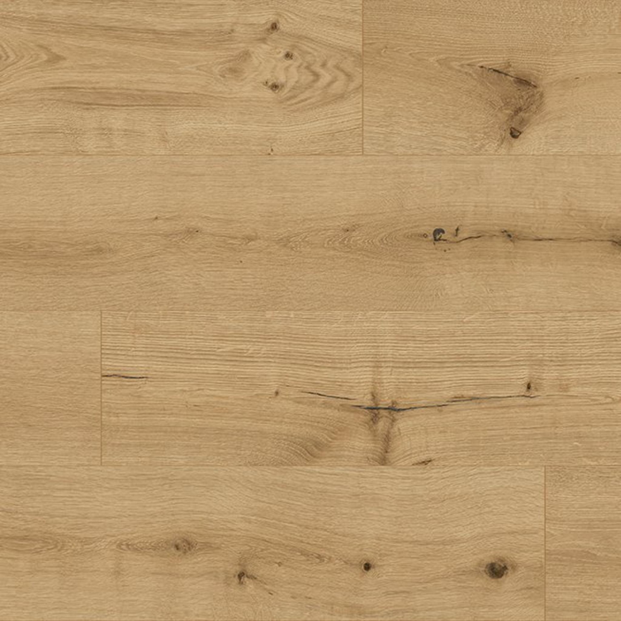 Oak Pisa
