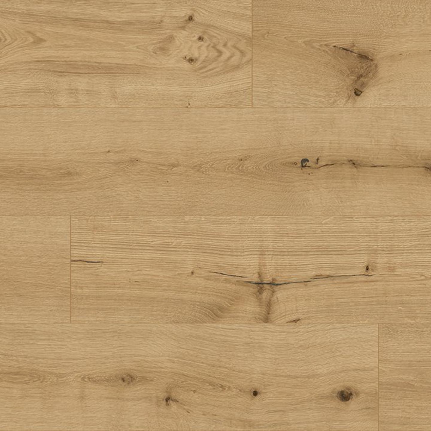 Oak Pisa