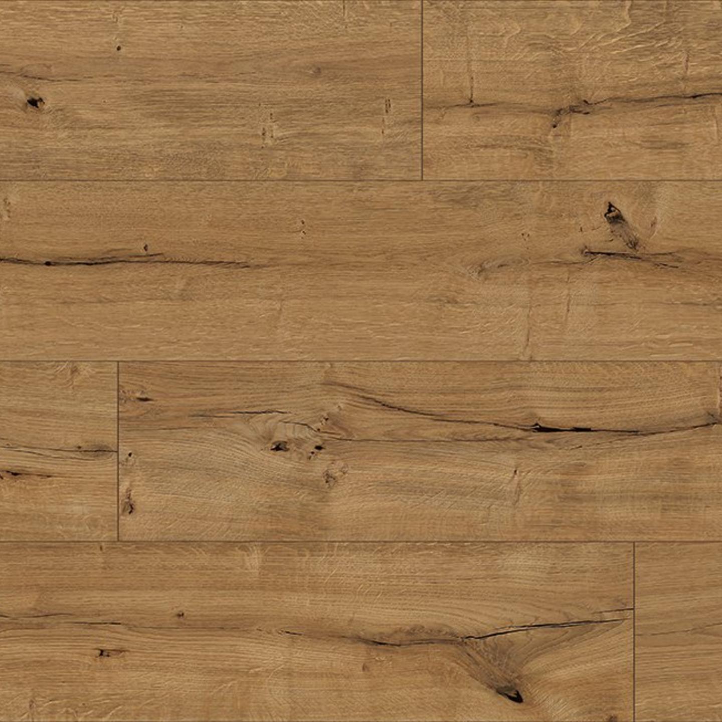 Oak Livorno