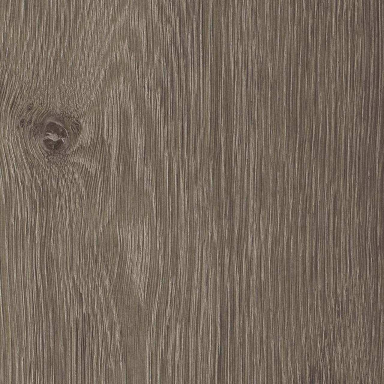 Oak Olbia