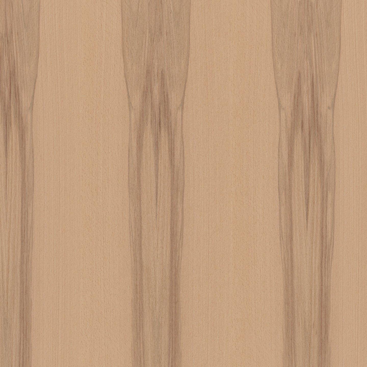 Brown Heart Beech