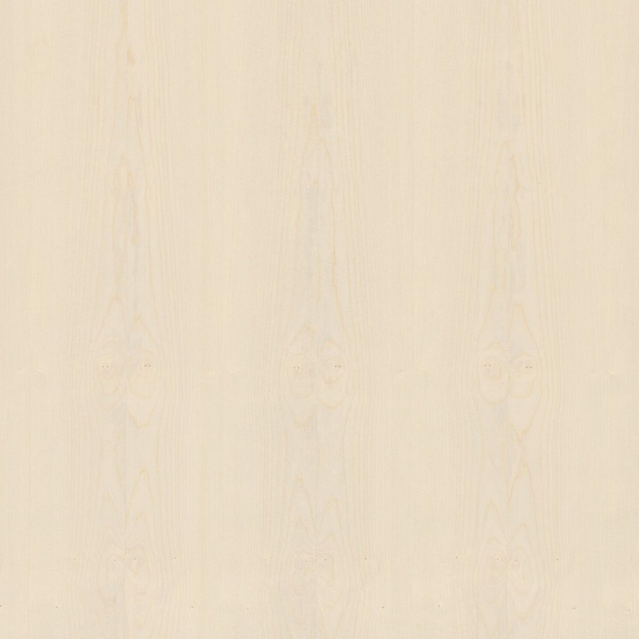 European Maple