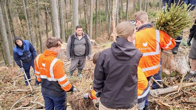 Aufforstungsaktion der Firma Kaindl und der österreichischen Bundesforste
