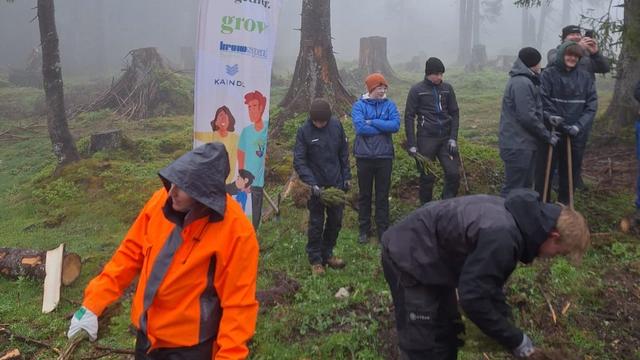 Aufforstungsaktion der Firma Kaindl und der österreichischen Bundesforste mit einer Schulklasse des Holztechnikums Kuchl auf der Postalm